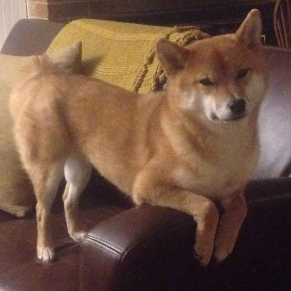 马拉松环保装备首次批量投入赛场使用,环保马拉松含金量